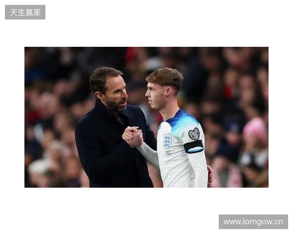 图赫尔谈10号位:一阶段考察帕尔默&福登;二阶段贝林&罗杰斯 图赫尔谈10号位:一阶段考察帕尔默&福登;二阶段贝林&罗杰斯